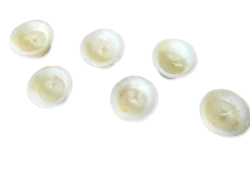 8401de08cbe8da15ce9f21e7df9fd4bc