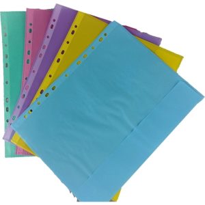 Folder na dokumenty, A4, 12 szt., kolorowy z klapką, 120 µm, matowy.