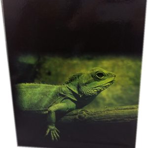 Segregator A4 35 mm 2-ringowy zielony Iguana Handy